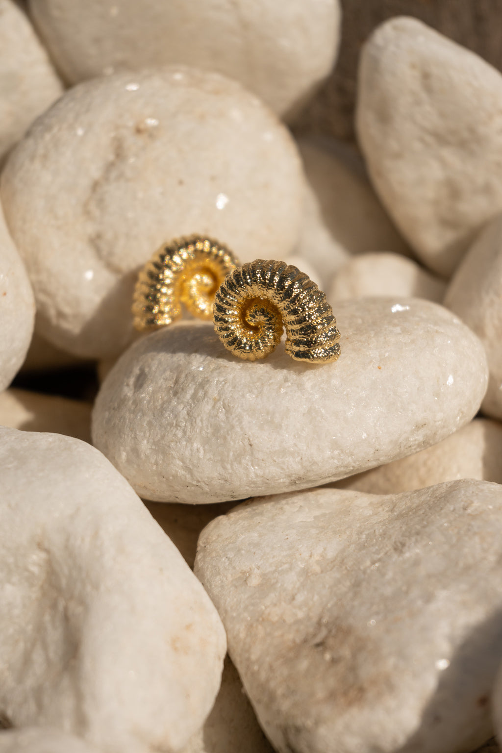 Brinco caracol