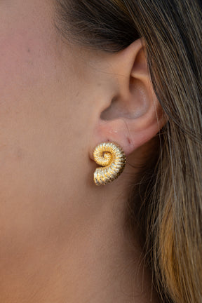 Brinco caracol